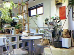 -青莯_Percher Coffee Shop(皮市街店)