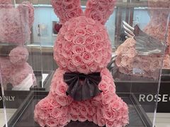 -ROSEONLY诺誓(广州K11店)