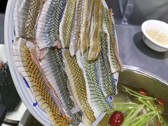 -金龙·打边炉(武进路店)