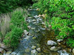 -洛阳白云山景区