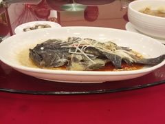 -聚春园自助餐厅(东街口店)