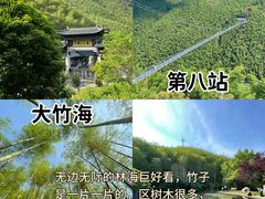 -阿露佳·舌尖上的安吉菜