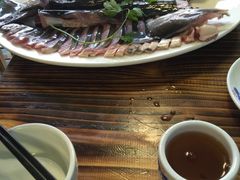 -鸭嘴鱼
