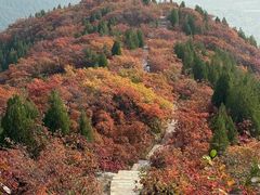 -四门塔风景区