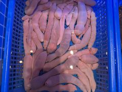 -悦海·家宴·冰花皮皮虾大锅贴(宝龙店)