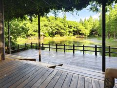 -上海滨江森林公园