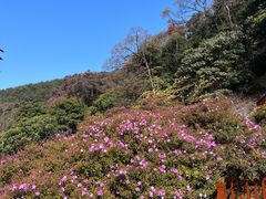 -广州市石门国家森林公园