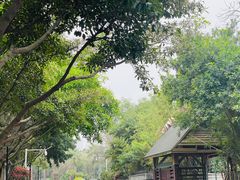 -五缘湾湿地公园