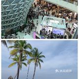 三亚市区最大的海鲜市场，到这里吃海鲜是不二之选