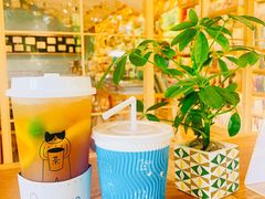 -猫的天空之城概念书店(束河店)