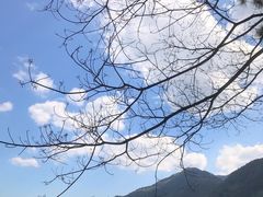 -广州市流溪河国家森林公园