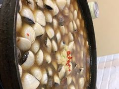 -顺德哥卜卜贝(旗舰店)