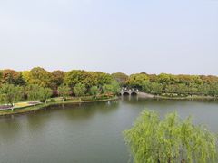 -上海鲜花港