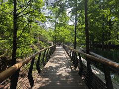 -白水寺森林公园