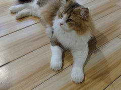 -听TA说宠咖·宠物生活馆(天韵水岸店)