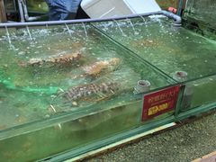 -大茄来海鲜餐厅(亚洲城分行)