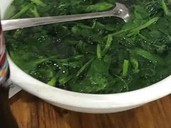 白水豌豆尖-东吴霸王兔(松青路店)