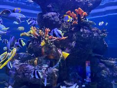 -成都浩海立方海洋公园