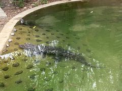 -上方山森林动物世界