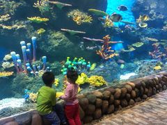 -华夏文旅海洋公园