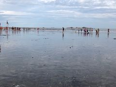 -台山黑沙湾海浴场