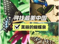 -蝴蝶泉公园