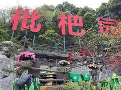 -枇杷园食为鲜火锅(南山店)