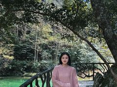 -龙湾潭国家森林公园
