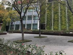 -活水公园
