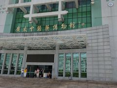 -广东中医药博物馆