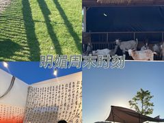 -栖露营camping·天幕烧烤·团建拓展·采摘营地