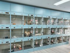 -萌宠之家·腊肠犬·马尔泰·小体犬舍