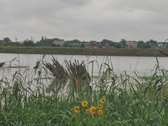 -梁鸿国家湿地公园