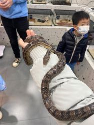 -Moni星球萌宠·小马宝莉·灵蛇·高端高阶全萌宠互动体验俱乐部(红豆国际广场店)