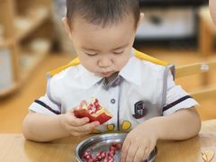 -玛利娅蒙特梭利双语幼儿园·托育(百家湖直营园)