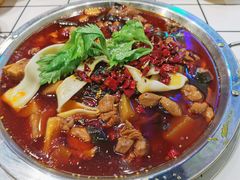 -晓彭肥肠鸡·泡椒鸡火锅(水木天地店)