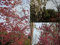 -西安外国语大学(长安校区)