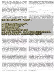 -海菲秀·飞顿牛奶光·LDM官方授权中心美轮美浣瓷感美肌