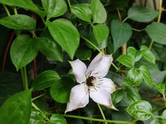 -斯多格书乡(北京大学畅春园店)