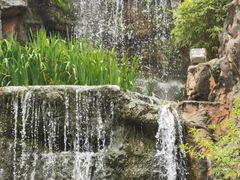 -重庆园博园