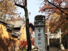 -灵谷景区