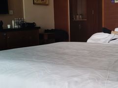 -宜春明月山维景国际温泉度假酒店