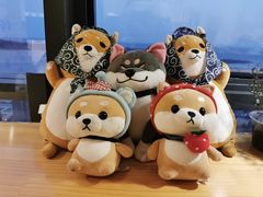 -柴犬小屋·柴餐厅·狗咖食堂(金鼎广场店)