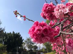 -洱海月湿地公园