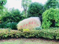 -上海海湾国家森林公园