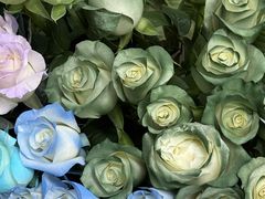 -循礼门鲜花花市(武汉循礼门店)