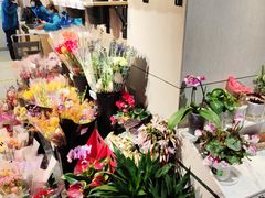 -盒马鲜生(双清路店)