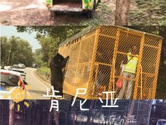 -乐和乐都主题乐园