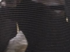 -半岛宠物医院24小时(白果林店)