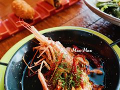 -TOMATITO(无限极荟店)